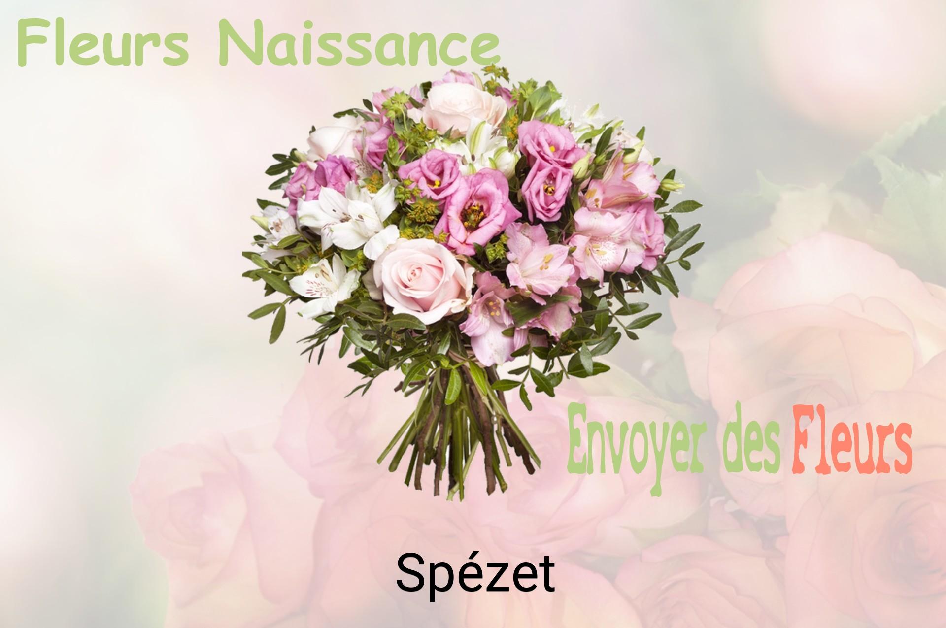 Bouquet de fleurs de naissance livré à Spézet